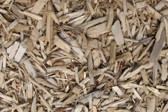 biomass boilers Oak Bank